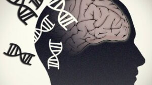 Lee más sobre el artículo Identificados nuevos factores de riesgos asociados con el desarrollo de la demencia