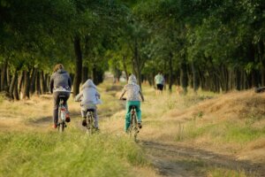 Lee más sobre el artículo La desconexión digital potencia la salud mental y abre nuevas ventanas a la vida