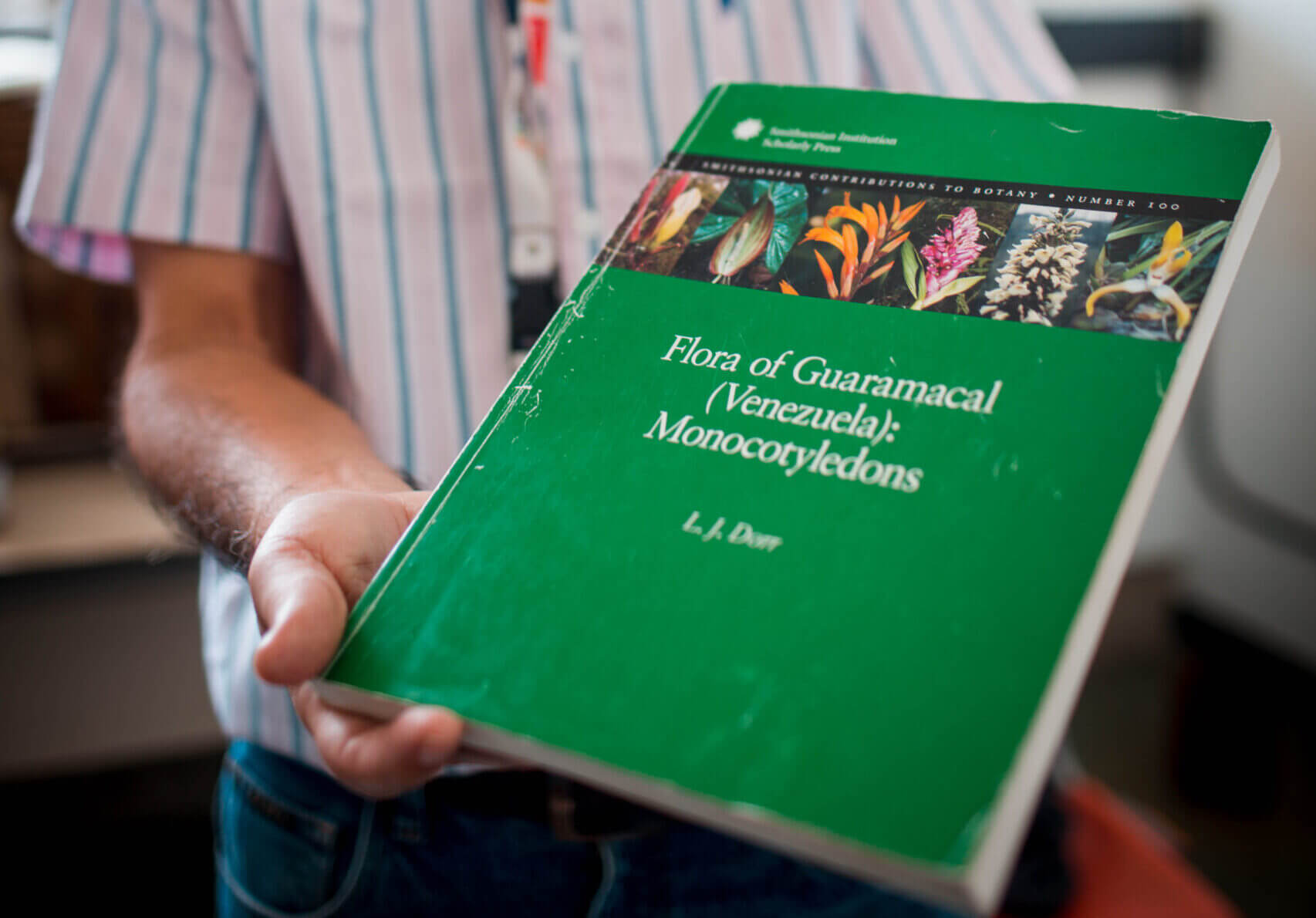 Lee más sobre el artículo Libro “La flora de Guaramacal” contiene el registro de plantas basales y angiospermas más antiguas del planeta