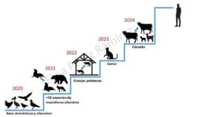 Lee más sobre el artículo Conoce la evolución de la gripe aviar y el riesgo zoonótico