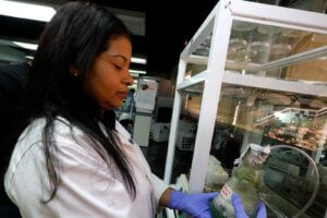 Lee más sobre el artículo En el IDEA buscan generar formulaciones alimenticias a partir de microalgas