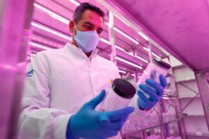 Lee más sobre el artículo Venezuela avanza en biotecnología agrícola con el Laboratorio de Mejoramiento Genético de Plantas