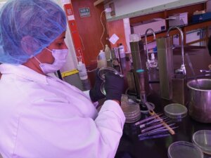 Lee más sobre el artículo Fundación Ciepe investiga potencial de la levadura Yarrowia lipolytica para la autosuficiencia agroalimentaria