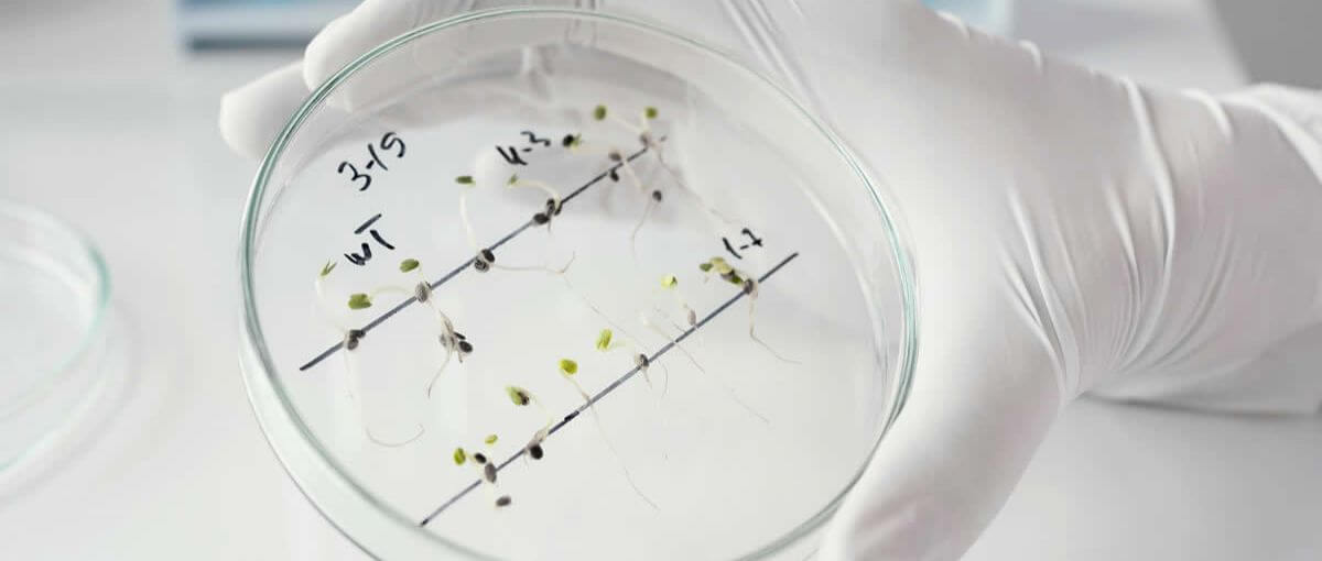 Lee más sobre el artículo Investigación alerta sobre incremento de la resistencia a los antimicrobianos en el mundo