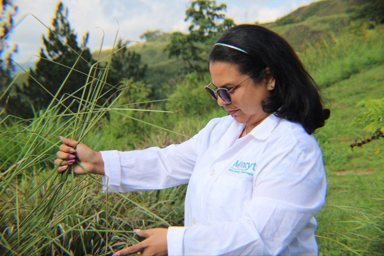 Lee más sobre el artículo En el IDEA estudian propiedades de micorrizas arbusculares como alternativa de saneamiento ambiental
