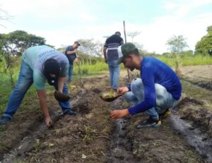 Lee más sobre el artículo Mincyt impulsa producción hortícola junto a las Redes Socialistas de Innovación Productiva