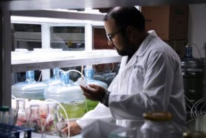 Lee más sobre el artículo En el IDEA identificarán cianobacterias y cianotoxinas en aguas de la bahía de Mochima
