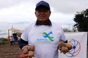 Lee más sobre el artículo Falcón registra nueva experiencia de producción de semilla certificada