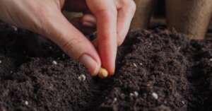 Lee más sobre el artículo Venezuela impulsa proyectos de investigación socio-ambiental