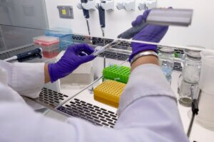 Lee más sobre el artículo Investigadoras de Fundación IDEA se capacitan en técnicas de genética molecular y manejo de tecnología de equipos asociados