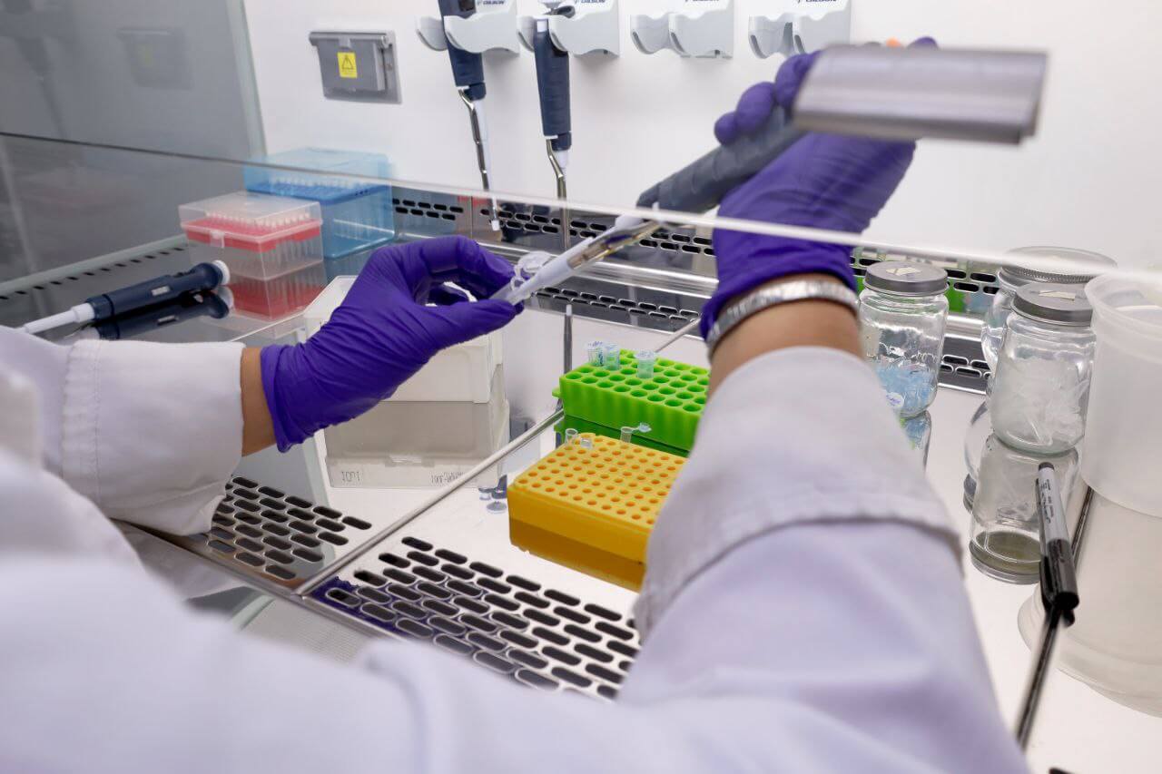 Lee más sobre el artículo Investigadoras de Fundación IDEA se capacitan en técnicas de genética molecular y manejo de tecnología de equipos asociados