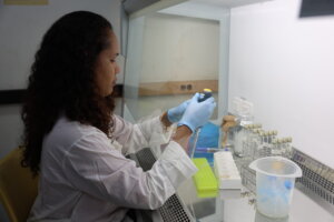 Lee más sobre el artículo IVIC contribuye a la prevención y control de la Leptospirosis en el país