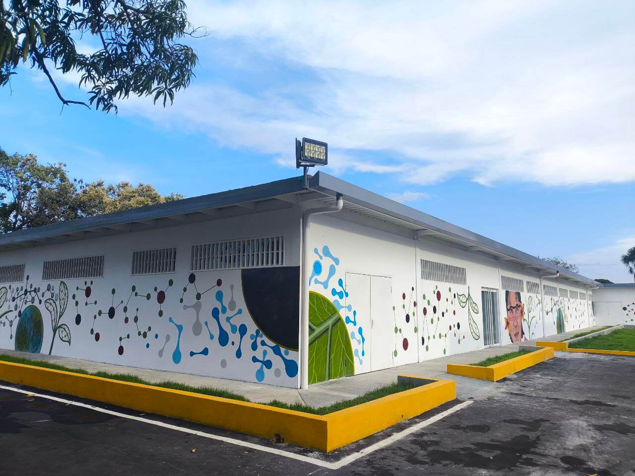 Lee más sobre el artículo Centro de investigaciones de Amazonas realiza estudio de 36 plantas para el desarrollo de fórmulas medicinales
