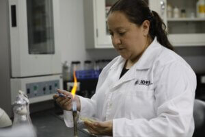 Lee más sobre el artículo Estudian nuevas bacterias capaces de eliminar azufre en corrientes de refinerías