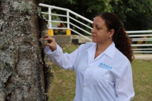 Lee más sobre el artículo Biólogos del IDEA exhortan a evitar extraer musgos para decorar el pesebre en Navidad