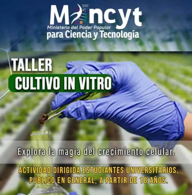 Lee más sobre el artículo Abiertas inscripciones para Taller de “Cultivo In Vitro” en Fundacite Táchira