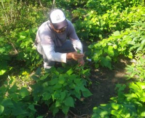 Lee más sobre el artículo Fundación Ciepe brinda apoyo técnico a sector agrícola de Yaracuy