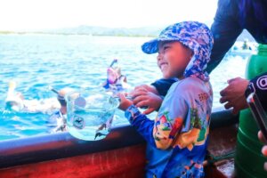 Lee más sobre el artículo Gobierno nacional libera 900 caballitos de mar en Isla Larga estado Carabobo