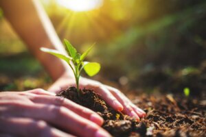 Lee más sobre el artículo Mincyt promueve prácticas agrícolas sustentables con el proyecto ARCAL RLA-5090