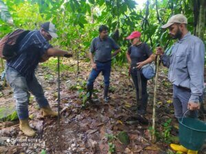 Lee más sobre el artículo Yaracuyanos aprenden sobre muestreo de suelos en cultivos de café y cacao