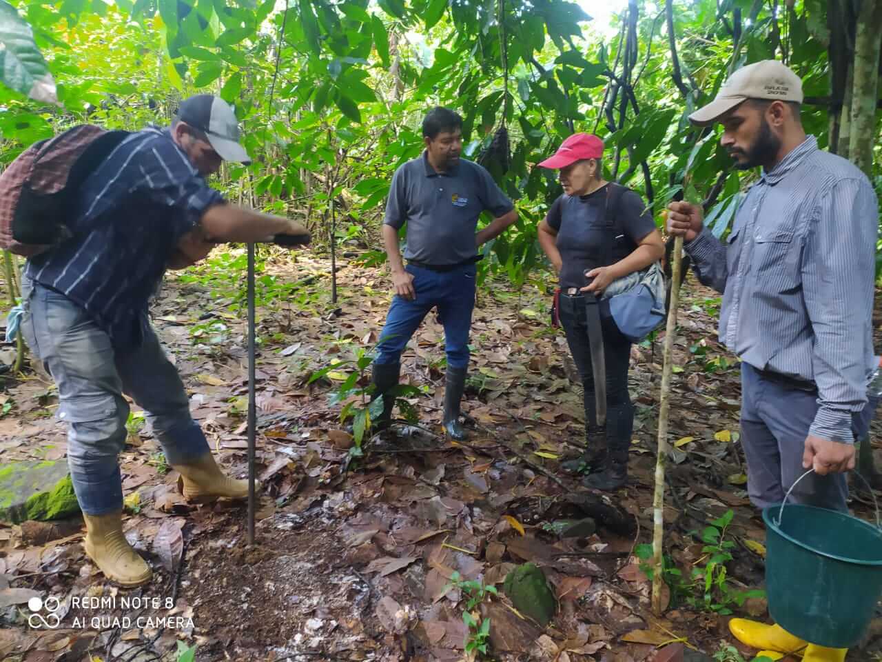 Lee más sobre el artículo Yaracuyanos aprenden sobre muestreo de suelos en cultivos de café y cacao