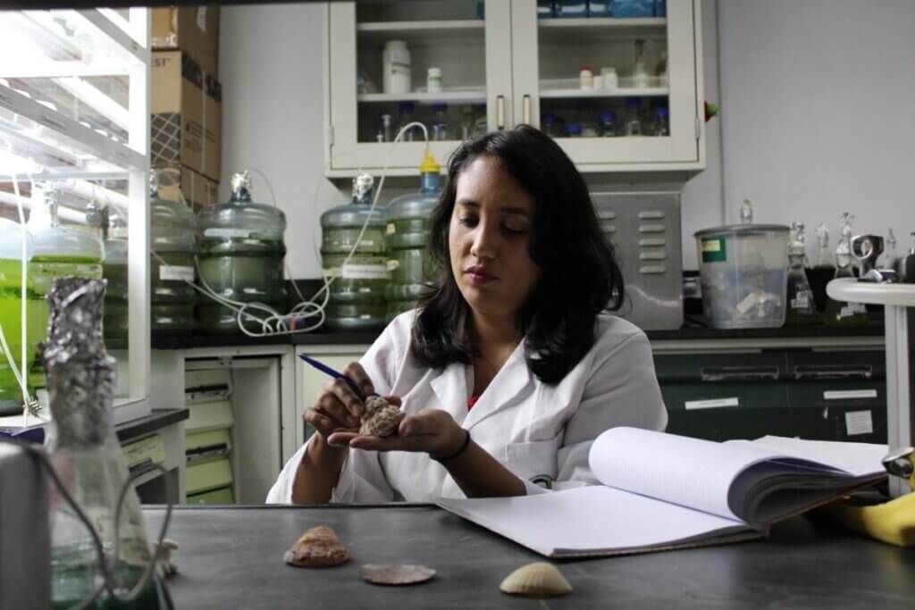 Biólogos del IDEA afirman que el caracol Chicoreus brevifrons aporta beneficios para la salud