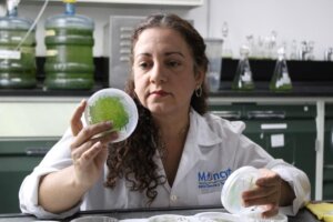 Lee más sobre el artículo Científicos del IDEA destacan medidas para reducir la emisión del CO2