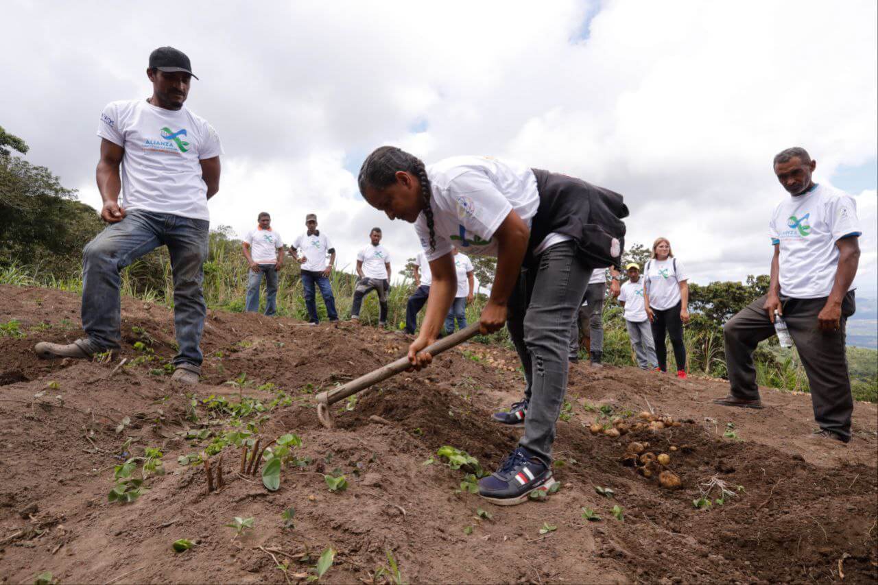 Lee más sobre el artículo Venezuela avanza hacia la soberanía agroalimentaria