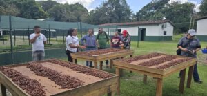 Lee más sobre el artículo Productores merideños intercambian experiencias en Centro Nacional de Investigación, Desarrollo e Innovación del Cacao
