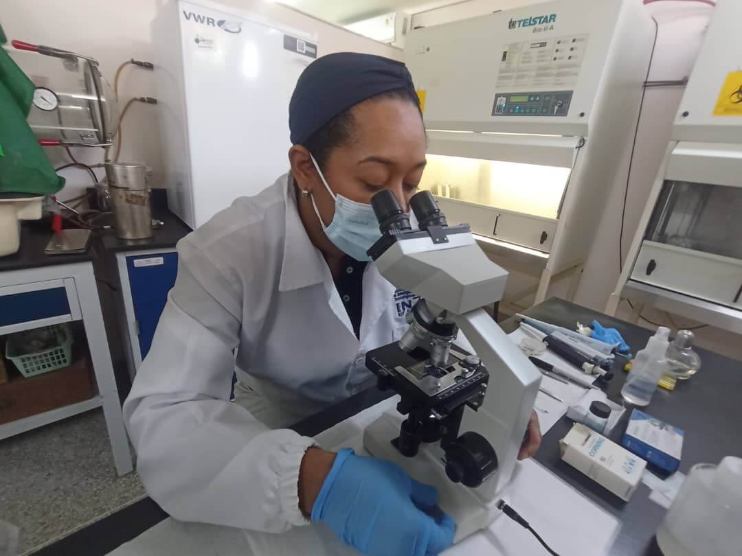 Lee más sobre el artículo Inzit evalúa compuesto orgánico quitosano y cepas de Bacillus sp. para combatir hongo en cultivos