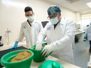Lee más sobre el artículo Inzit estudia sustrato como soporte para la producción de bioinsumos