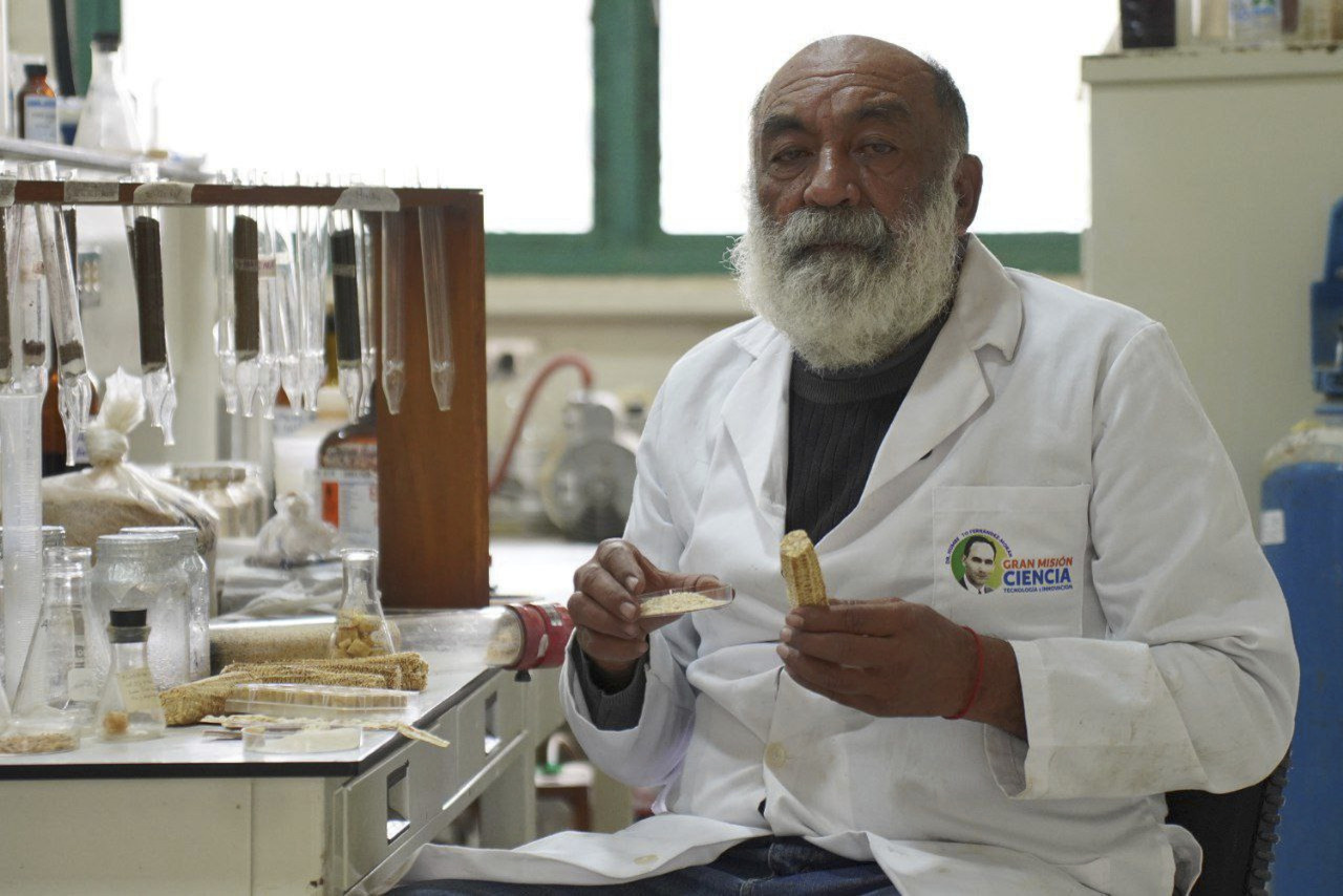 Lee más sobre el artículo Estudio pionero para la biorremediación de los suelos afectados por metales pesados se realiza a través del aporte LOCTI