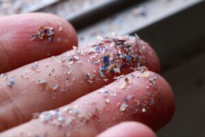 Lee más sobre el artículo Investigaciones científicas revelan presencia de microplásticos en diferentes órganos del cuerpo humano