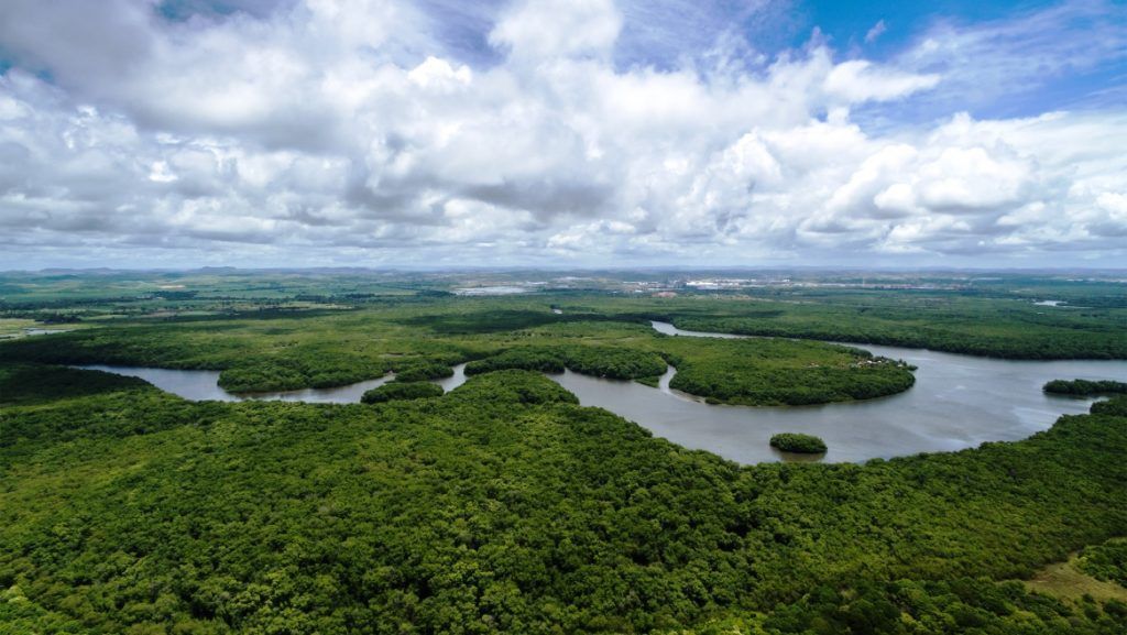 Venezuela promueve agenda científico-tecnológica y ecosocialista en el Día Internacional de la Madre Tierra