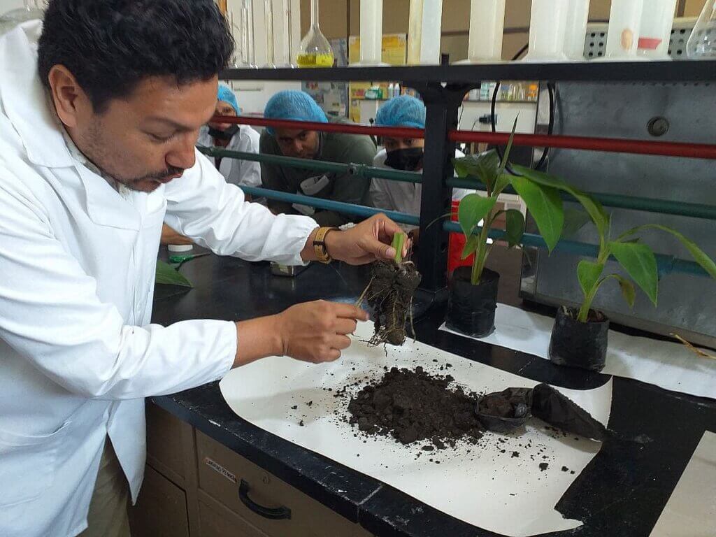 OIEA y Venezuela unen esfuerzos para combatir patógenos con bioproductos