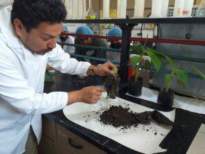 Lee más sobre el artículo OIEA y Venezuela unen esfuerzos para combatir patógenos con bioproductos