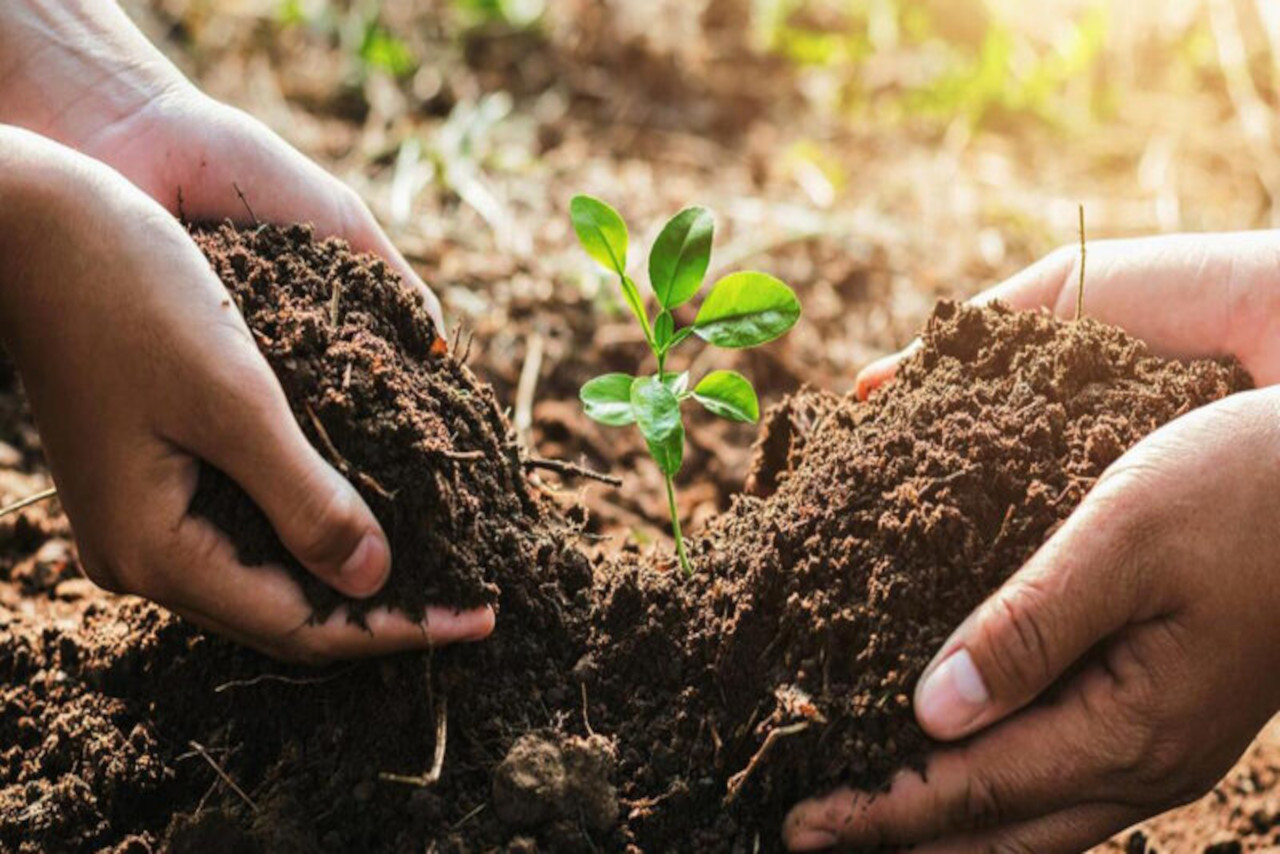 Lee más sobre el artículo Mincyt invita al taller virtual: Biodiversidad, bioeconomía y desarrollo regenerativo