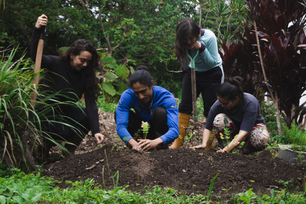 Agricultura en la praxis busca volver a las raíces de cultivos artesanales y sustentables