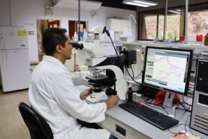Lee más sobre el artículo Investigadores del IDEA impulsan la agroecología a través de microorganismos benéficos