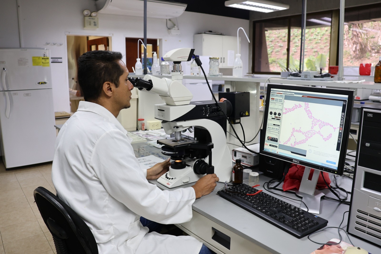 Lee más sobre el artículo Investigadores del IDEA impulsan la agroecología a través de microorganismos benéficos