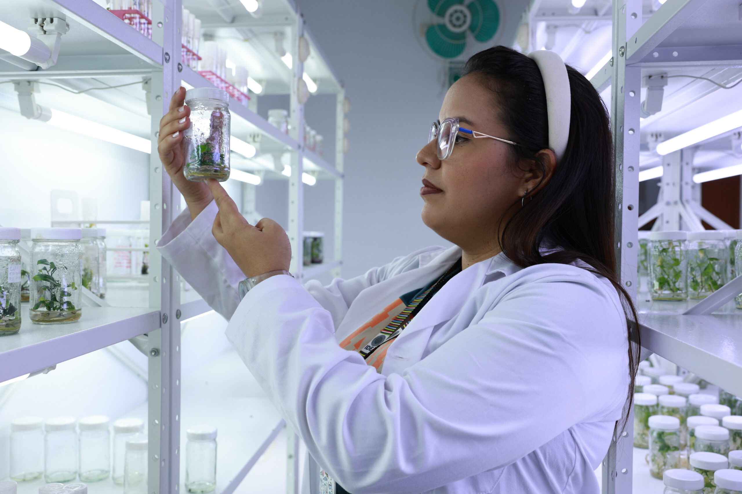 Lee más sobre el artículo Investigadores desarrollan vivero de plantas de cítricos sanos a partir de germinación in vitro