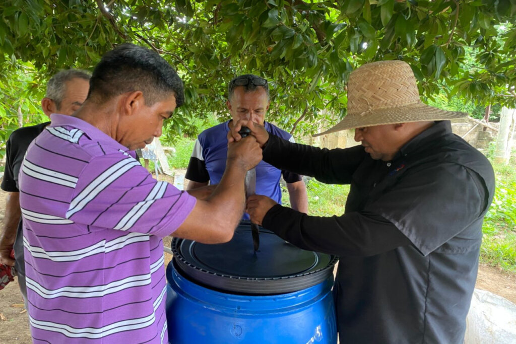 Fundación Inzit avanza en proyecto de prácticas agroecológicas con musáceas