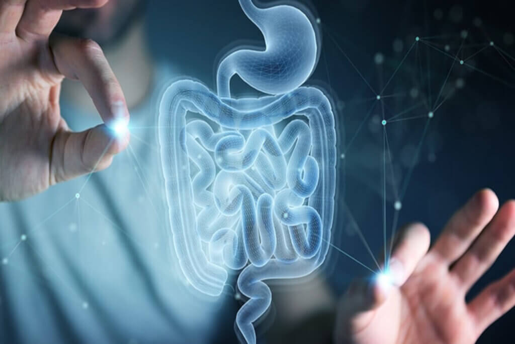 El papel de la microbiota en la prevención de las enfermedades