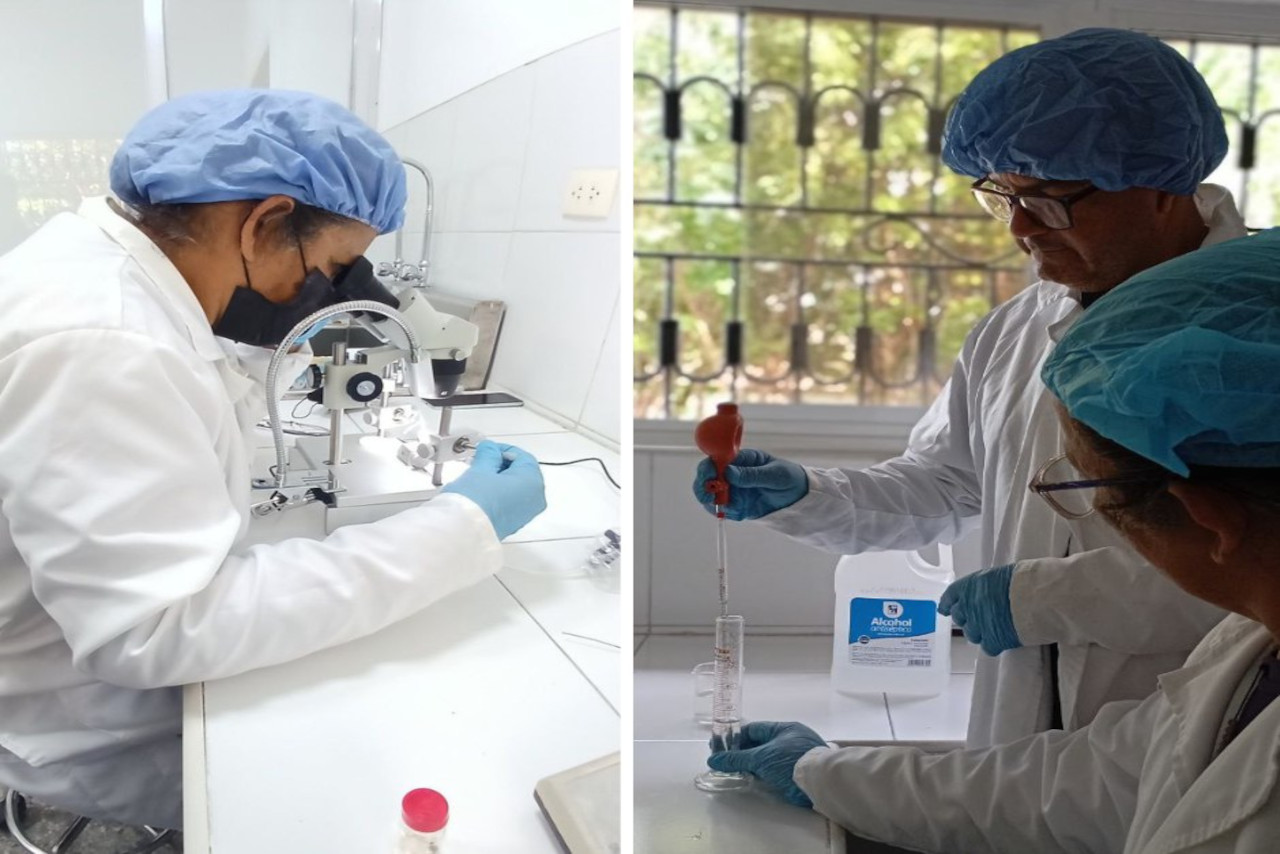 Lee más sobre el artículo ACAV desarrolla proyectos de investigación para fortalecer la apicultura en el país