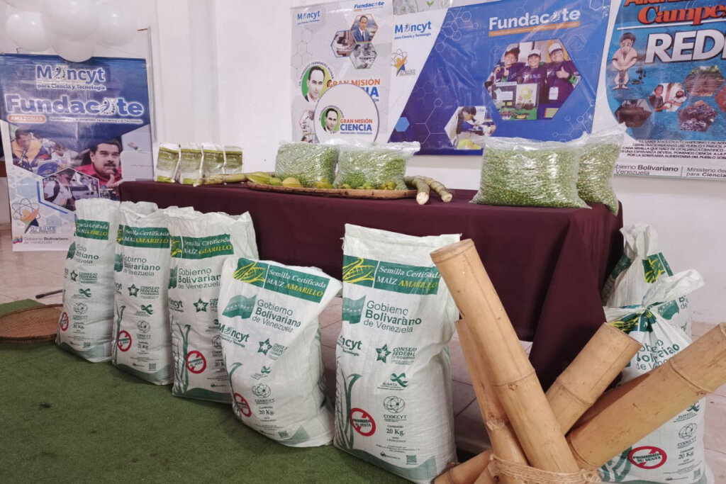 Productores de Amazonas reciben semillas certificadas