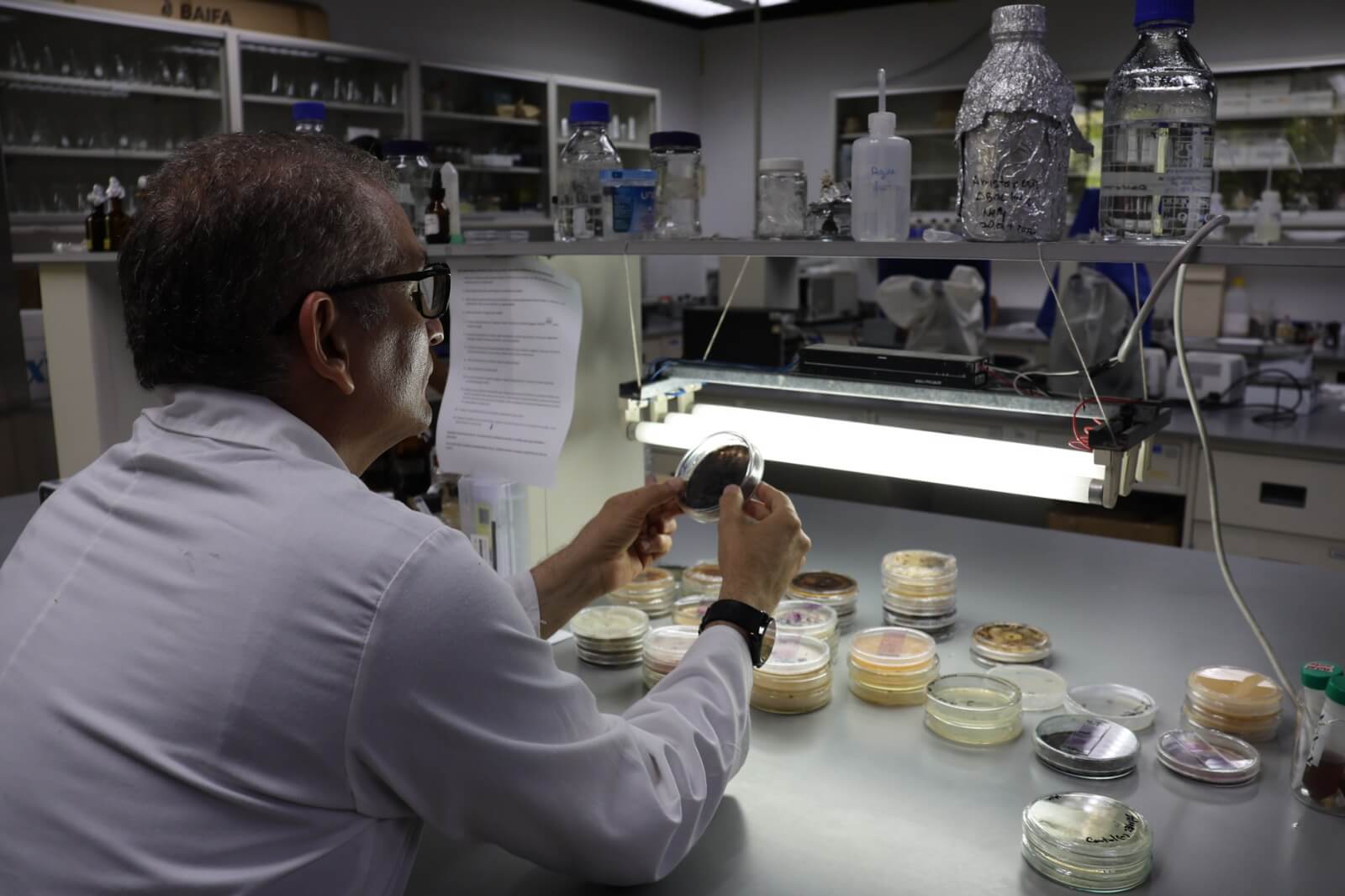 Lee más sobre el artículo Científicos del IDEA buscan elaborar formulados microbianos controladores de plagas agrícolas