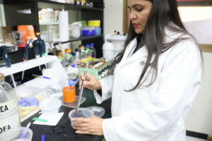 Lee más sobre el artículo IDEA refuerza identificación taxonómica de escorpiones para la producción de antivenenos