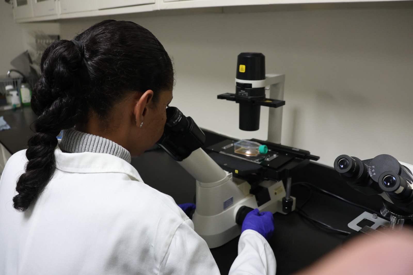 En este momento estás viendo Científicos del IDEA estudian compuestos para atacar parásitos causantes del mal de Chagas y la Leishmaniasis