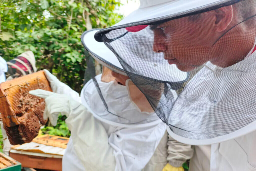 ACAV culmina formación apícola con jornada práctica sobre producción de abejas reinas