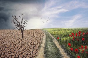 Lee más sobre el artículo La nueva realidad climática: amenaza latente para el sector agrícola